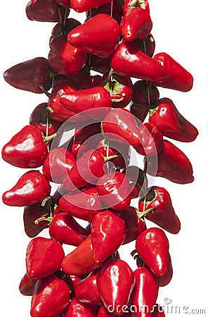 Hanging bunch of Piquillo peppers Stock Photo