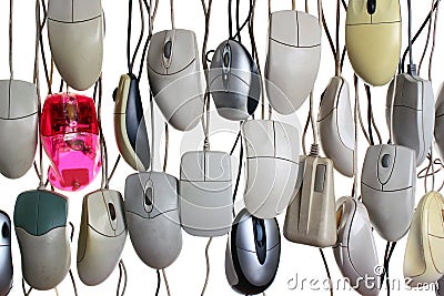 Hanging computer mice isolated on white background Stock Photo