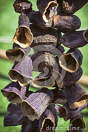 Hanging Dried Aubergines For Stuffing Stock Photo