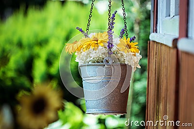 Hanging flower pot with colorful flowers Stock Photo