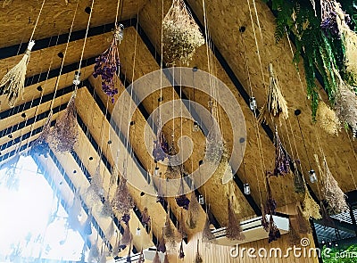 a hanging flower at the roof of glass house Stock Photo