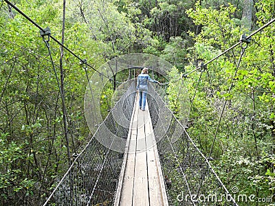 Hanging footbridge. Stock Photo