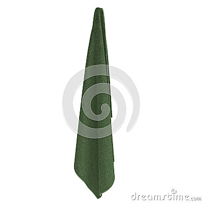 Hanging green Washcloth isolated on white. 3D illustration Cartoon Illustration