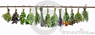 Hanging herbs Stock Photo