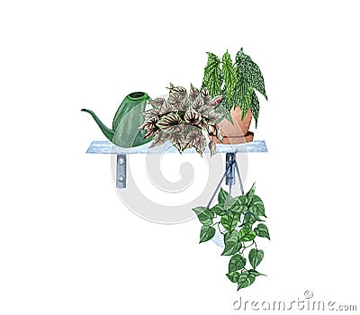 Hanging houseplants on a shelf. Watercolor illustratoion of home decorative plants Stock Photo