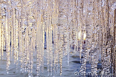 Hanging icycles in the forest in winter Stock Photo