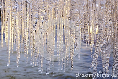 Hanging icycles in the forest in winter Stock Photo