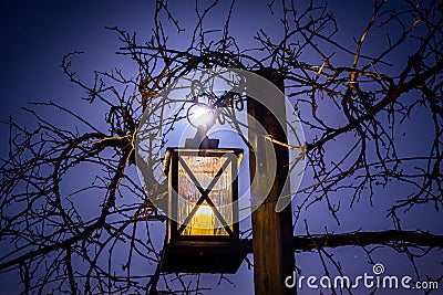 Glowing Lantern at Night Under a Full Moon Surrounded by Vines Stock Photo