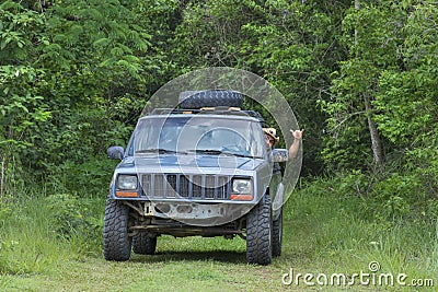 Hanging loose while driving off road in jungle Stock Photo