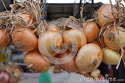 Hanging Onions Stock Photo