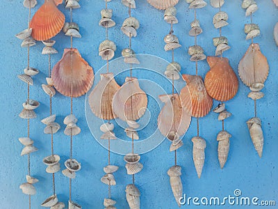 Hanging seashells chime Stock Photo