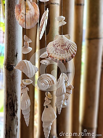 Hanging seashells Stock Photo