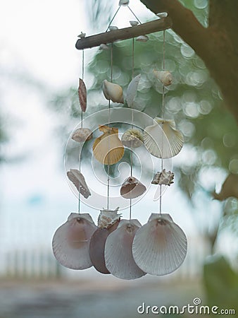 Hanging seashells mobile blowing in the wind Stock Photo