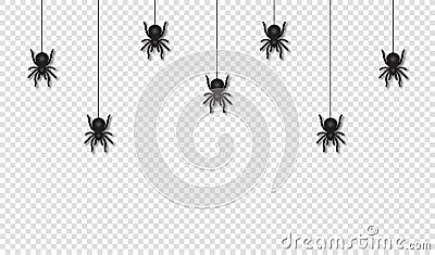 Hanging spiders for Halloween decoration. Scary and creepy Halloween background. Scary spiders hanging on spider web, transparent Vector Illustration