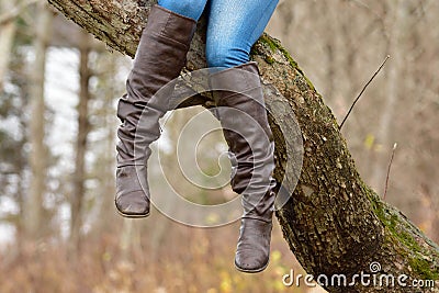 Hanging in a Tree Stock Photo