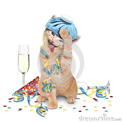 Hangover, cat with ice pack on his head Stock Photo