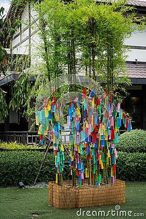 Hangs coloured paper strips Tanzaku on bamboo branches, for good auspicious, during traditional Tanabata Japanese Festival Stock Photo