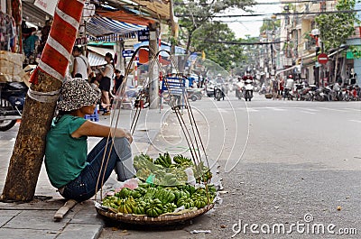 Hanoi fruit seller Editorial Stock Photo