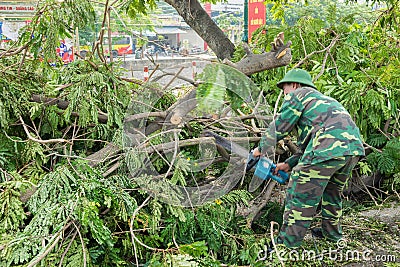 Hanoi, Vietnam - June 14, 2015: Fallen tree damaged on street by natural heavy wind storm in Tam Trinh street Editorial Stock Photo