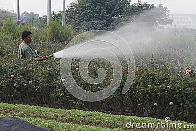 Hanoi, Vietnam - October 21, 2015: farmer water the plants to his field on daylight Editorial Stock Photo