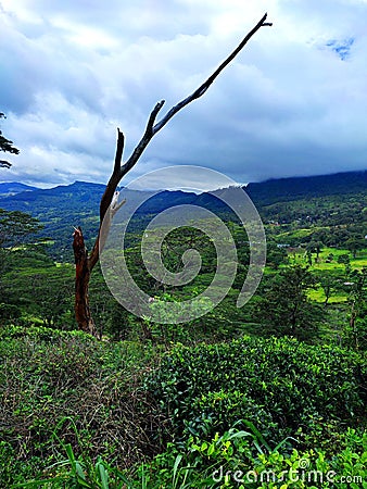 Hanthana mountain range,Kandy,Srilanka. Stock Photo