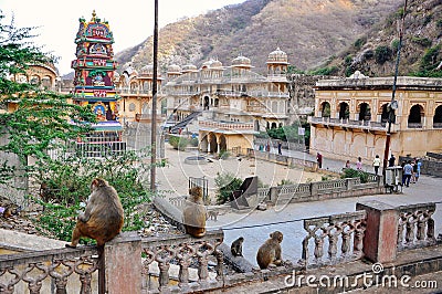 The Hanuman Temple near Jaipur, India. Editorial Stock Photo