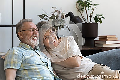 Happy affectionate 60s couple resting on sofa. Stock Photo