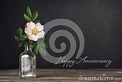 Happy Anniversary card. Dog rose in vase on dark grunge background Stock Photo