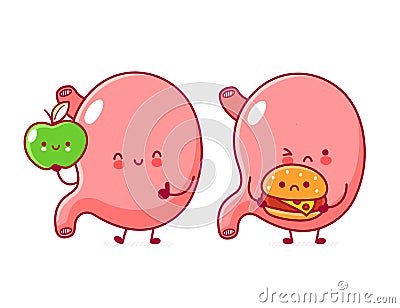 Happy with apple and sad with burger stomach organ Vector Illustration