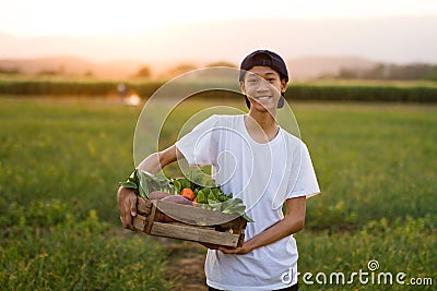 Happy asia farmer smiling and hold full basket of organic vegetable Stock Photo