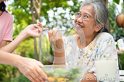 Happy Asian daughter have lunch whit her family and feeding salad to mother in backyard Stock Photo