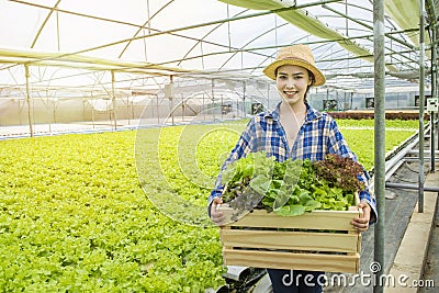 Happy Asian farmer gardener woman hand hold basket of fresh green organic vegetable in greenhouse hydroponic organic farm,Small Stock Photo