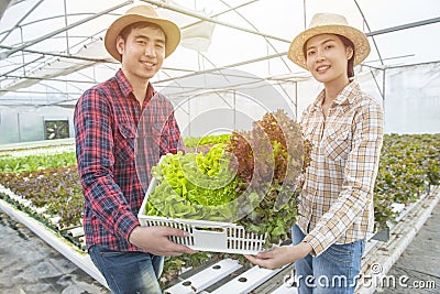 Happy asian male and female harvesting vegetable from their own greenhouse hydroponic organic farm,Small business entrepreneur and Stock Photo