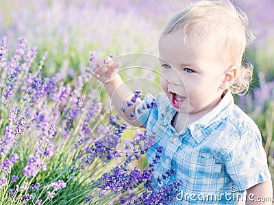 Happy baby boy in lavender Stock Photo