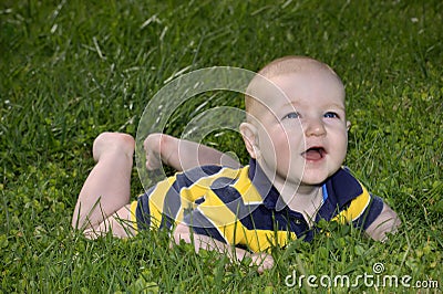 Happy baby in clover Stock Photo