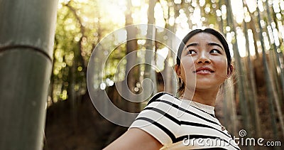 Happy, bamboo and Japanese woman in forest for adventure on holiday, vacation and morning in woods. Travel, nature and Stock Photo