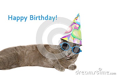 Happy birthday card with cat Stock Photo