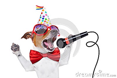 Happy birthday dog singing Stock Photo