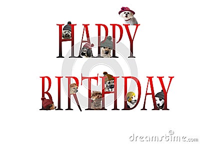 happy-birthday-lettering-dogs-design-card-cute-68165844.jpg