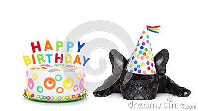 Happy birthday sleeping dog Stock Photo