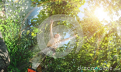 Happy boy stands under the water jets in the hot summer in the garden. bright sunlight makes its way through the trees. Toning Stock Photo