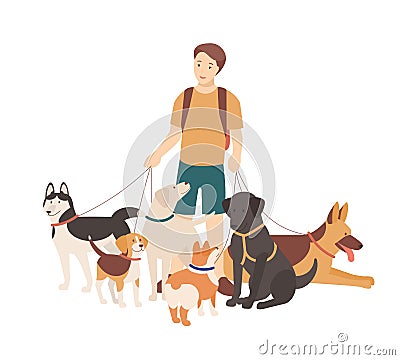 Happy boy walking his purebred dogs on leash. Young smiling guy standing with domestic animals. Cute funny pet owner Vector Illustration