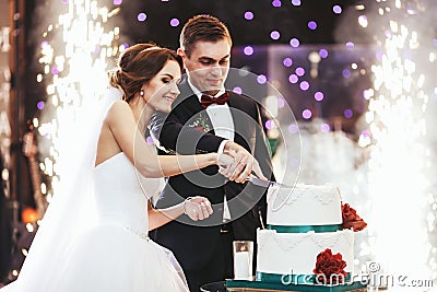 Happy bride and groom cut the wedding cake in the front of fireworks Stock Photo