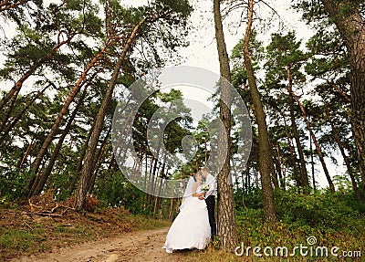 Happy bride and groom in the forest Stock Photo