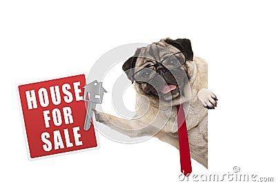 Happy business pug dog witg glasses and tie, holding up red house for sale sign and key Stock Photo