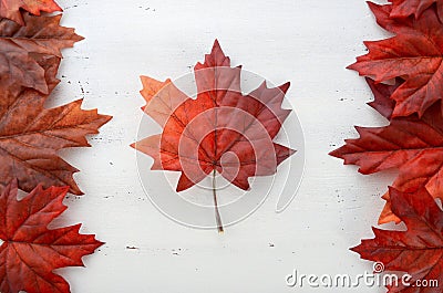 Happy Canada Day red silk leaves in shape of Canadian Flag. Stock Photo