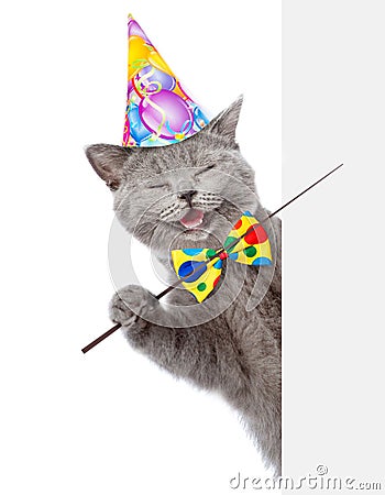 Happy cat in birthday hat holding a pointing stick and points on empty banner. isolated on white background Stock Photo