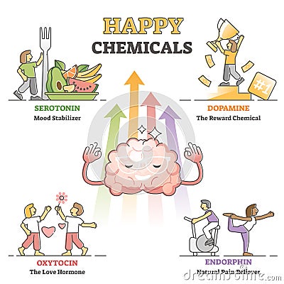 Happy chemicals as good and positive mood hormonal causes outline diagram Vector Illustration