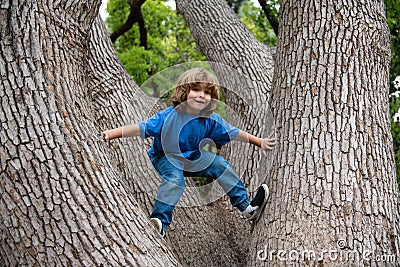 Happy child boy climbing a tree. Childhood youth growth. Stock Photo