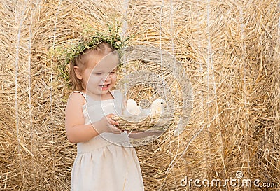 Happy child girl in linen dress smiling with fluffy baby chicks in nest. Stock Photo